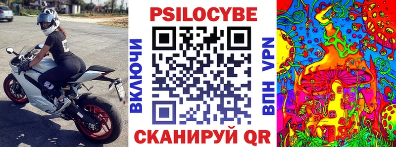 закладка  Красноуральск  Галлюциногенные грибы прущие грибы 